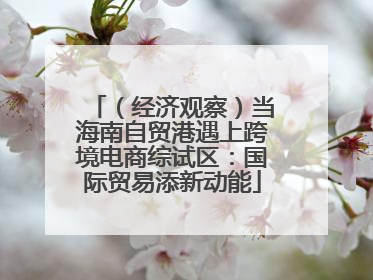 （经济观察）当海南自贸港遇上跨境电商综试区：国际贸易添新动能