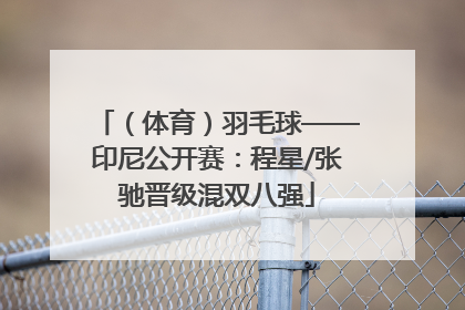 （体育）羽毛球——印尼公开赛：程星/张驰晋级混双八强