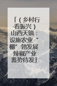 （乡村行·看振兴）山西天镇：设施农业“棚”勃发展 辣椒产业蓄势待发