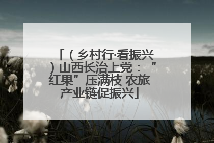 （乡村行·看振兴）山西长治上党：“红果”压满枝 农旅产业链促振兴