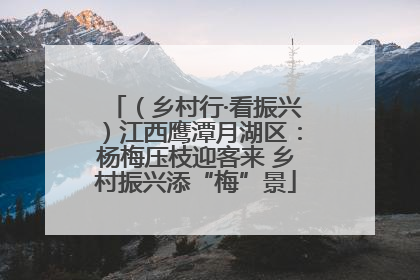 （乡村行·看振兴）江西鹰潭月湖区：杨梅压枝迎客来 乡村振兴添“梅”景