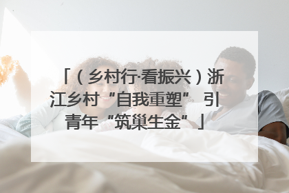 （乡村行·看振兴）浙江乡村“自我重塑” 引青年“筑巢生金”