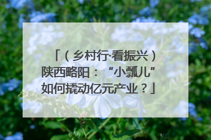 （乡村行·看振兴）陕西略阳：“小瓢儿”如何撬动亿元产业？