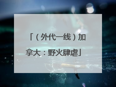 （外代一线）加拿大：野火肆虐