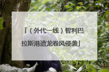 （外代一线）智利巴拉斯港遭龙卷风侵袭
