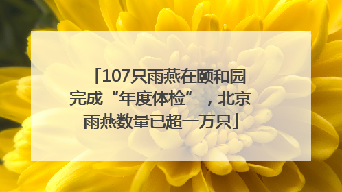 107只雨燕在颐和园完成“年度体检”，北京雨燕数量已超一万只