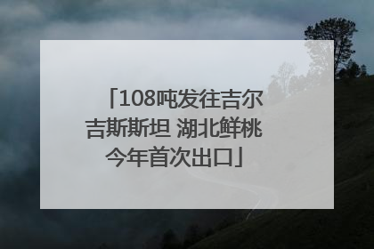 108吨发往吉尔吉斯斯坦 湖北鲜桃今年首次出口