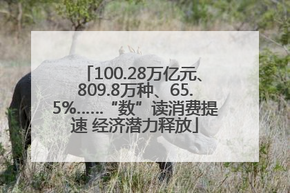 100.28万亿元、809.8万种、65.5%……“数”读消费提速 经济潜力释放