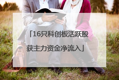16只科创板活跃股获主力资金净流入