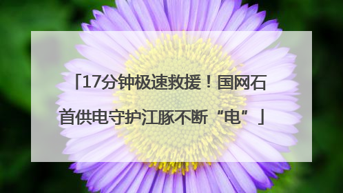 17分钟极速救援！国网石首供电守护江豚不断“电”