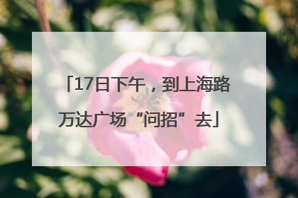 17日下午，到上海路万达广场“问招”去