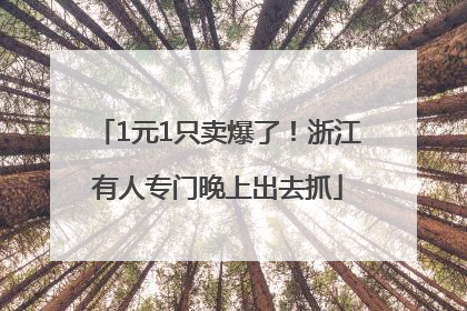 1元1只卖爆了！浙江有人专门晚上出去抓