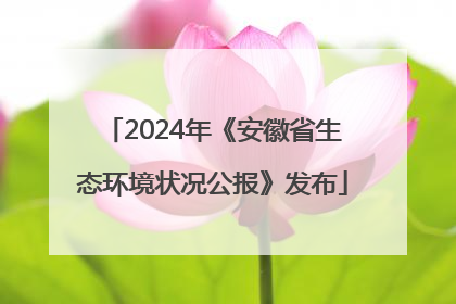 2024年《安徽省生态环境状况公报》发布