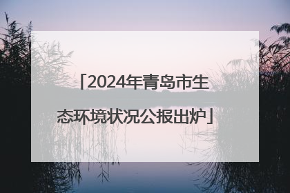 2024年青岛市生态环境状况公报出炉