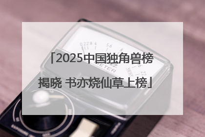 2025中国独角兽榜揭晓 书亦烧仙草上榜