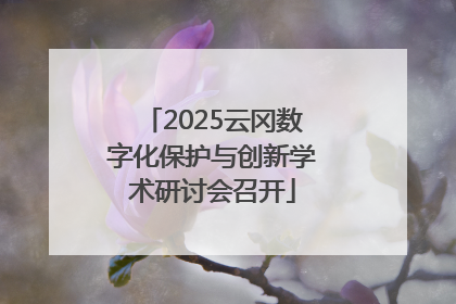 2025云冈数字化保护与创新学术研讨会召开