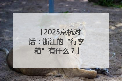 2025京杭对话：浙江的“行李箱”有什么？