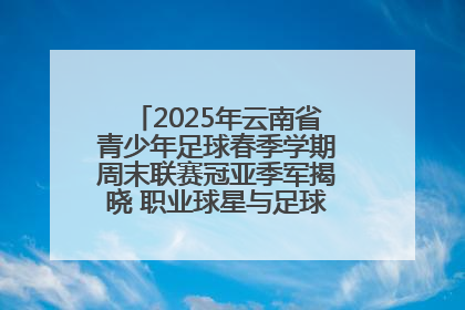 2025年云南省青少年足球春季学期周末联赛冠亚季军揭晓 职业球星与足球小将共享荣耀时刻