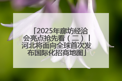 2025年廊坊经洽会亮点抢先看（二）丨河北将面向全球首次发布国际化招商地图