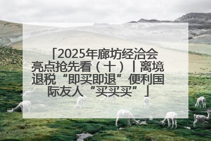 2025年廊坊经洽会亮点抢先看（十）丨离境退税“即买即退”便利国际友人“买买买”