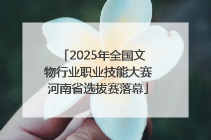 2025年全国文物行业职业技能大赛河南省选拔赛落幕