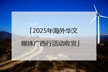 2025年海外华文媒体广西行活动收官