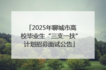 2025年聊城市高校毕业生“三支一扶”计划招募面试公告