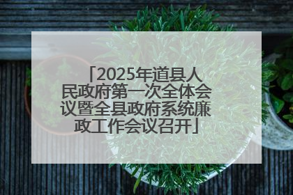 2025年道县人民政府第一次全体会议暨全县政府系统廉政工作会议召开