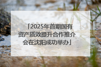 2025年首期国有资产质效提升合作推介会在沈阳成功举办