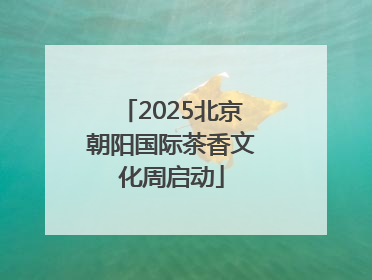 2025北京朝阳国际茶香文化周启动
