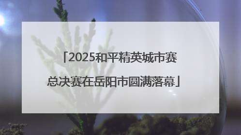 2025和平精英城市赛总决赛在岳阳市圆满落幕