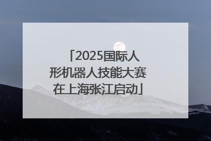 2025国际人形机器人技能大赛在上海张江启动