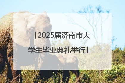 2025届济南市大学生毕业典礼举行