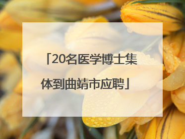 20名医学博士集体到曲靖市应聘