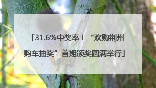 31.6%中奖率！“欢购荆州 购车抽奖”首期颁奖圆满举行
