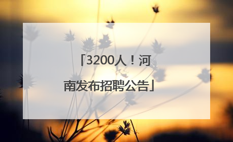3200人！河南发布招聘公告