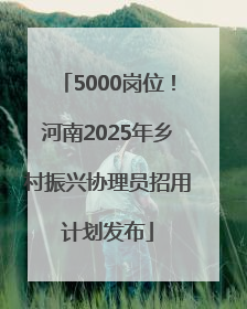 5000岗位！河南2025年乡村振兴协理员招用计划发布