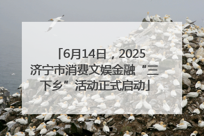 6月14日，2025济宁市消费文娱金融“三下乡”活动正式启动