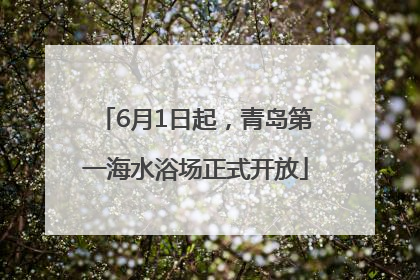 6月1日起，青岛第一海水浴场正式开放