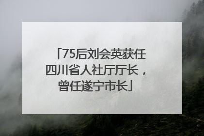 75后刘会英获任四川省人社厅厅长，曾任遂宁市长