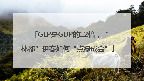 GEP是GDP的12倍，“林都”伊春如何“点绿成金”
